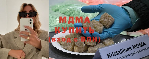 прущие грибы Горно-Алтайск