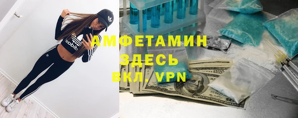 прущие грибы Горно-Алтайск