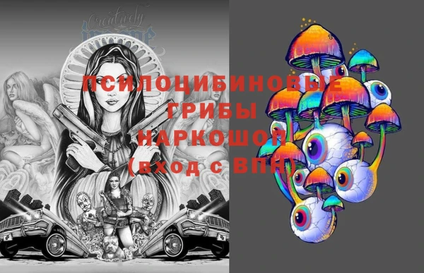 ГАЛЛЮЦИНОГЕННЫЕ ГРИБЫ Гусиноозёрск