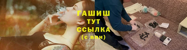 прущие грибы Горно-Алтайск