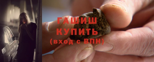 прущие грибы Горно-Алтайск