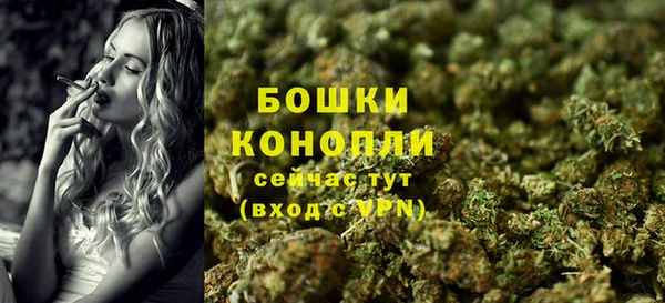 прущие грибы Горно-Алтайск