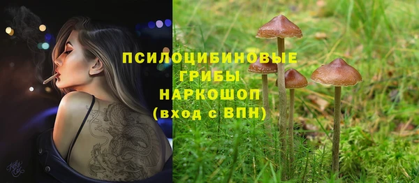 не бодяженный Горнозаводск