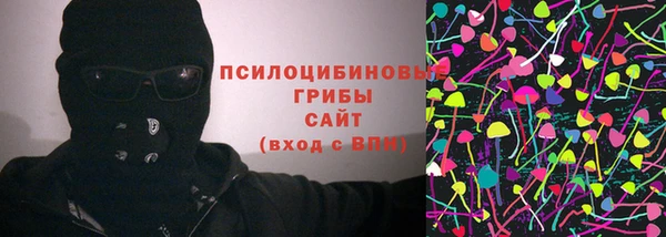 ГАЛЛЮЦИНОГЕННЫЕ ГРИБЫ Гусиноозёрск