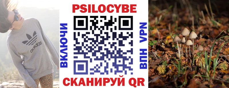 Псилоцибиновые грибы GOLDEN TEACHER  omg зеркало  Емва 